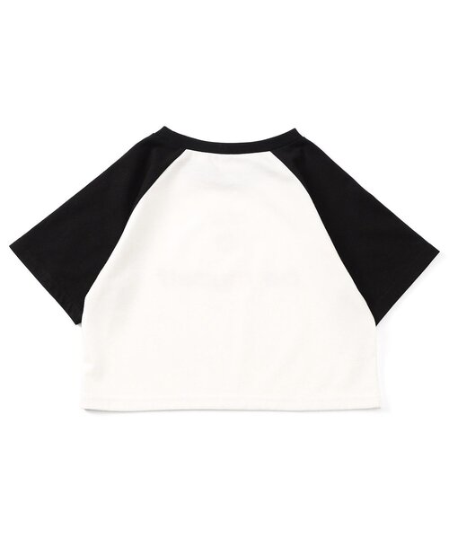 algy(アルジー)の「クロップドラグラン半袖T(Tシャツ/カットソー・キッズ・オフホワイト/サックスブルー/ブラック・MEDIUM/SMALL/X-SMALL/XX-SMALL)」の12枚目の写真