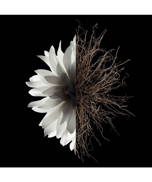 GIVENCHY BEAUTY（ジバンシイ ビューティー）の「ランテルディ オーデパルファム ロール オン（香水・レディース・その他・FREE）」の2枚目の写真