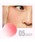 L.H.PiGGC`s[j́uKaja/JW/`[L[X^vi`[Njvb̑6