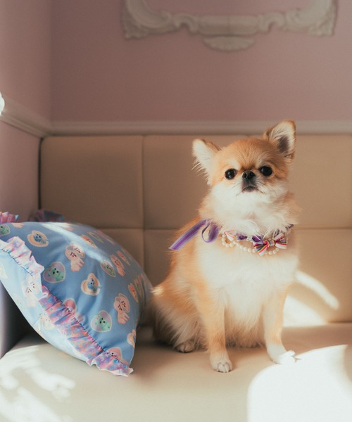 fafa（フェフェ）の「DARLA | ドッグネックレス（その他ペットグッズ・キッズ・C/D/F/E・FREE）」の5枚目の写真