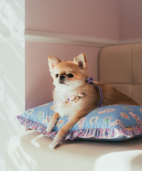 fafa（フェフェ）の「DARLA | ドッグネックレス（その他ペットグッズ・キッズ・C/D/F/E・FREE）」の6枚目の写真