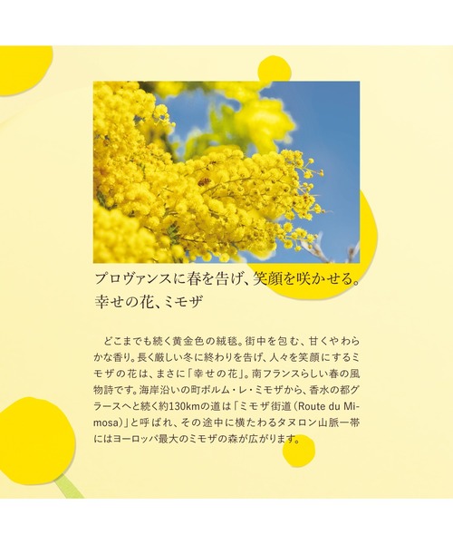 L'OCCITANE(ロクシタン)の「【季節限定品】ミモザ オードトワレ 50mL(香水・レディース・その他・FREE)」の7枚目の写真