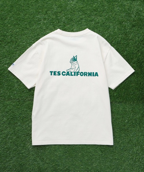 The Endless Summer（エンドレスサマー）の「TES SAME OLD TEE / Tシャツ（Tシャツ/カットソー・メンズ・ブラック/ホワイト/ネイビー/アイボリー/ピンク・SMALL/MEDIUM/LARGE/X-LARGE/XX-LARGE）」の7枚目の写真