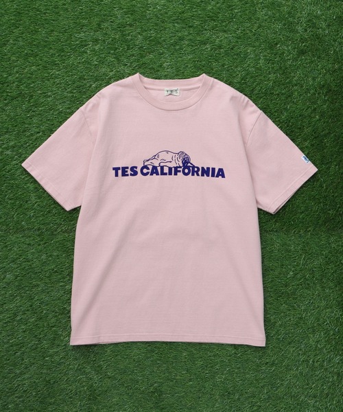 The Endless Summer（エンドレスサマー）の「TES SAME OLD TEE / Tシャツ（Tシャツ/カットソー・メンズ・ブラック/ホワイト/ネイビー/アイボリー/ピンク・SMALL/MEDIUM/LARGE/X-LARGE/XX-LARGE）」の9枚目の写真