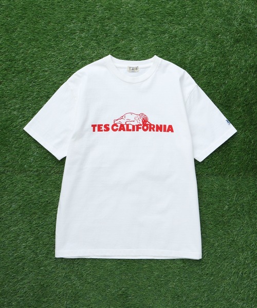 The Endless Summer（エンドレスサマー）の「TES SAME OLD TEE / Tシャツ（Tシャツ/カットソー・メンズ・ブラック/ホワイト/ネイビー/アイボリー/ピンク・SMALL/MEDIUM/LARGE/X-LARGE/XX-LARGE）」の12枚目の写真