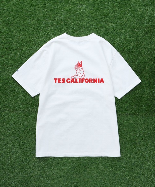 The Endless Summer（エンドレスサマー）の「TES SAME OLD TEE / Tシャツ（Tシャツ/カットソー・メンズ・ブラック/ホワイト/ネイビー/アイボリー/ピンク・SMALL/MEDIUM/LARGE/X-LARGE/XX-LARGE）」の13枚目の写真