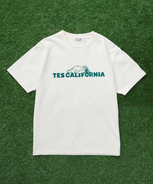 The Endless Summer（エンドレスサマー）の「TES SAME OLD TEE / Tシャツ（Tシャツ/カットソー・メンズ・ブラック/ホワイト/ネイビー/アイボリー/ピンク・SMALL/MEDIUM/LARGE/X-LARGE/XX-LARGE）」の6枚目の写真