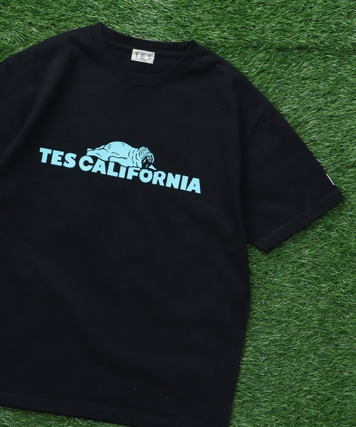 The Endless Summer（エンドレスサマー）の「TES SAME OLD TEE / Tシャツ（Tシャツ/カットソー・メンズ・ブラック/ホワイト/ネイビー/アイボリー/ピンク・SMALL/MEDIUM/LARGE/X-LARGE/XX-LARGE）」の21枚目の写真