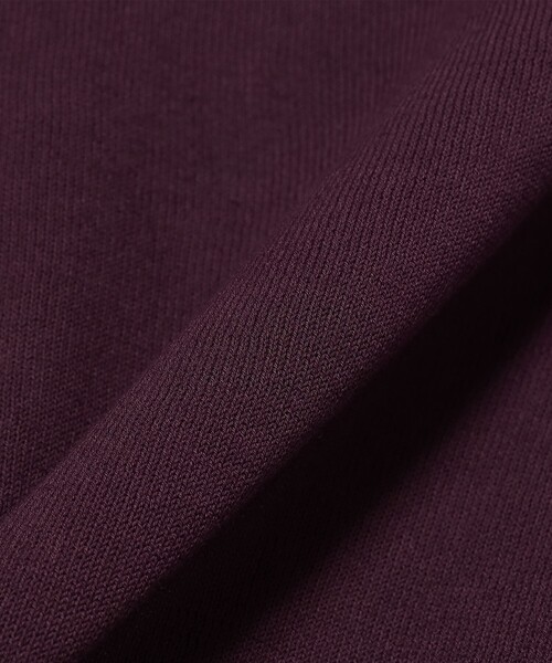 BEAMS F(ビームスエフ)の「【別注】MORGANO / コットン ショートスリーブ ニット ポロシャツ(ポロシャツ・メンズ・ネイビー/パープル/ブラウン/ブラック・46/48/50/52)」の11枚目の写真