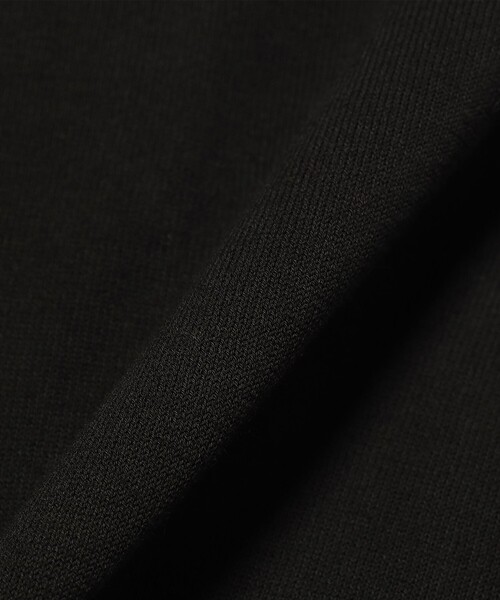 BEAMS F(ビームスエフ)の「【別注】MORGANO / コットン ショートスリーブ ニット ポロシャツ(ポロシャツ・メンズ・ネイビー/パープル/ブラウン/ブラック・46/48/50/52)」の20枚目の写真