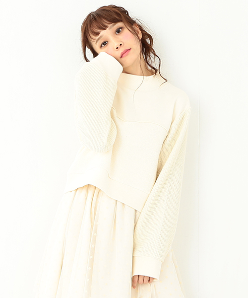 CAROLINA GLASER(カロリナ グレイサー)の「CAROLINA GLASER / スタンドカラー ショートトップス(スウェット・レディース・ブラック/クリーム・ONE SIZE)」の3枚目の写真