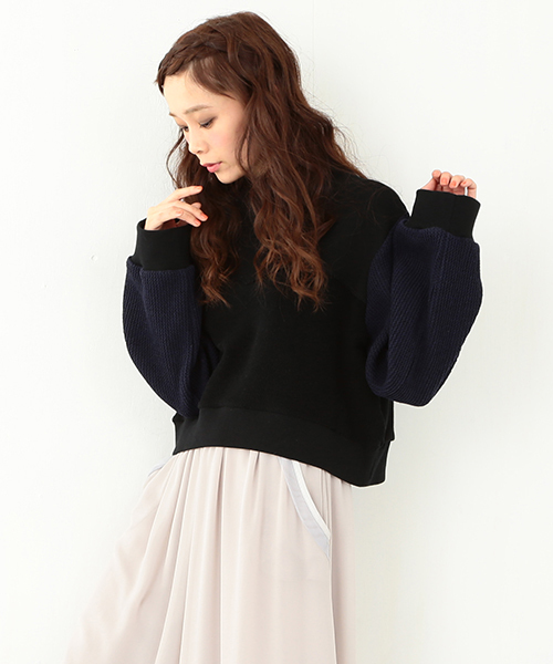 CAROLINA GLASER(カロリナ グレイサー)の「CAROLINA GLASER / スタンドカラー ショートトップス(スウェット・レディース・ブラック/クリーム・ONE SIZE)」の4枚目の写真