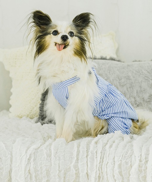 リボンワンピース・ロンパース（ペットウェア）｜LiFam（リファム）