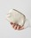 ear PAPILLONNERiCApslj́uykawa-kawa(JJ)zNO1482 ~jz/~j|[`izjvbS[h