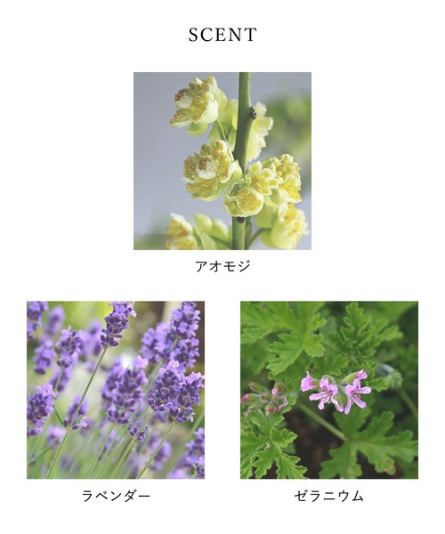 OSAJI（オサジ）の「オサジ リトリート ハンド セラム＆リップ ギフトセット（スキンケアキット/ギフトセット・レディース・その他・FREE）」の5枚目の写真