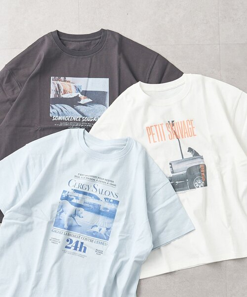 DISCOAT(ディスコート)の「アソートアニマルフォトTシャツ(Tシャツ/カットソー・レディース・サックスブルー/チャコールグレー/オフホワイト・FREE)」の4枚目の写真
