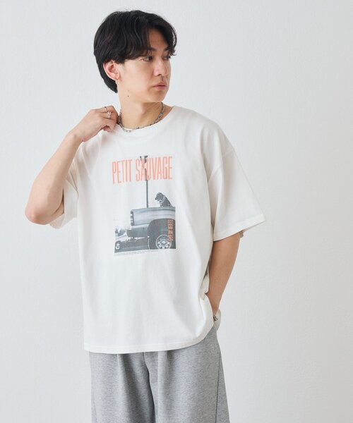 DISCOAT(ディスコート)の「アソートアニマルフォトTシャツ(Tシャツ/カットソー・レディース・サックスブルー/チャコールグレー/オフホワイト・FREE)」の16枚目の写真