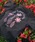 HUF�i�n�t�j�́uTHE POTTED GARDEN TEE�iT�V���c/�J�b�g�\�[�j�v�b�`���R�[���O���[