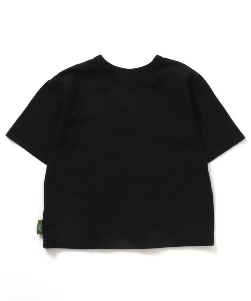 セール】いろいろ恐竜ロゴTシャツ（Tシャツ/カットソー）｜BREEZE  