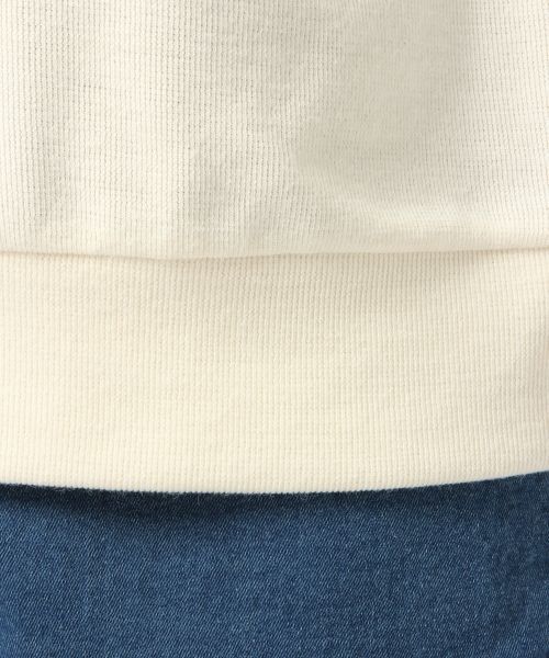 Heather（ヘザー）の「フリンジウラケトップス長袖　568881（スウェット・レディース・アイボリー/ブラウン系その他/ネイビー/グレー・FREE）」の12枚目の写真