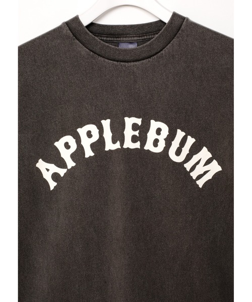 APPLEBUM（アップルバム）の「“Old Baseball” T-shirt（Tシャツ/カットソー・メンズ・グリーン系その他/ブラック系その他/ブルー系その他・X-LARGE/LARGE/MEDIUM）」の6枚目の写真