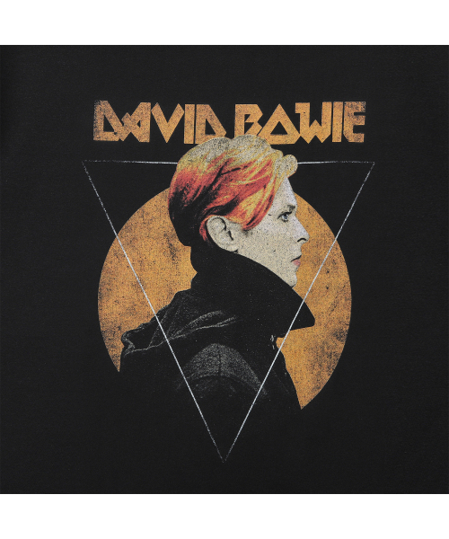 Bravado(ブラヴァド)の「DB GEOMETRIC (BRENT1995)(Tシャツ/カットソー・メンズ・その他・L/M/XL/XXL)」の2枚目の写真