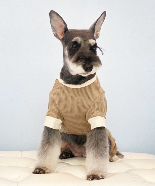 Best Friends（ベストフレンズ）の「Best Friends サーマルニットロンパース（ペットウェア・レディース・ネイビー/チャコールグレー/アイボリー/ベージュ・LARGE/XX-LARGE/X-LARGE/SMALL/MEDIUM）」の4枚目の写真