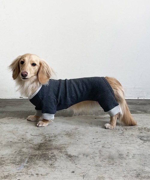 Best Friends（ベストフレンズ）の「Best Friends サーマルニットロンパース（ペットウェア・レディース・ネイビー/チャコールグレー/アイボリー/ベージュ・LARGE/XX-LARGE/X-LARGE/SMALL/MEDIUM）」の3枚目の写真