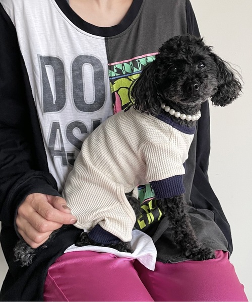 Best Friends（ベストフレンズ）の「Best Friends サーマルニットロンパース（ペットウェア・レディース・ネイビー/チャコールグレー/アイボリー/ベージュ・LARGE/XX-LARGE/X-LARGE/SMALL/MEDIUM）」の2枚目の写真