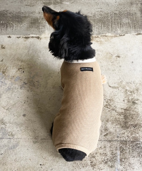 Best Friends（ベストフレンズ）の「Best Friends サーマルニットロンパース（ペットウェア・レディース・ネイビー/チャコールグレー/アイボリー/ベージュ・LARGE/XX-LARGE/X-LARGE/SMALL/MEDIUM）」の14枚目の写真