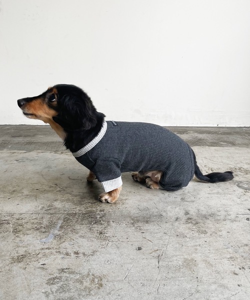 Best Friends（ベストフレンズ）の「Best Friends サーマルニットロンパース（ペットウェア・レディース・ネイビー/チャコールグレー/アイボリー/ベージュ・LARGE/XX-LARGE/X-LARGE/SMALL/MEDIUM）」の12枚目の写真