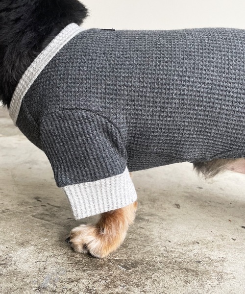 Best Friends（ベストフレンズ）の「Best Friends サーマルニットロンパース（ペットウェア・レディース・ネイビー/チャコールグレー/アイボリー/ベージュ・LARGE/XX-LARGE/X-LARGE/SMALL/MEDIUM）」の10枚目の写真