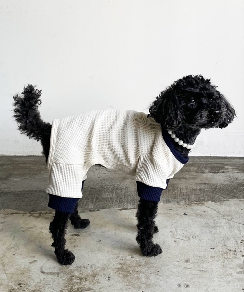 Best Friends（ベストフレンズ）の「Best Friends サーマルニットロンパース（ペットウェア・レディース・ネイビー/チャコールグレー/アイボリー/ベージュ・LARGE/XX-LARGE/X-LARGE/SMALL/MEDIUM）」の16枚目の写真