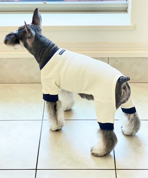 Best Friends（ベストフレンズ）の「Best Friends サーマルニットロンパース（ペットウェア・レディース・ネイビー/チャコールグレー/アイボリー/ベージュ・LARGE/XX-LARGE/X-LARGE/SMALL/MEDIUM）」の20枚目の写真