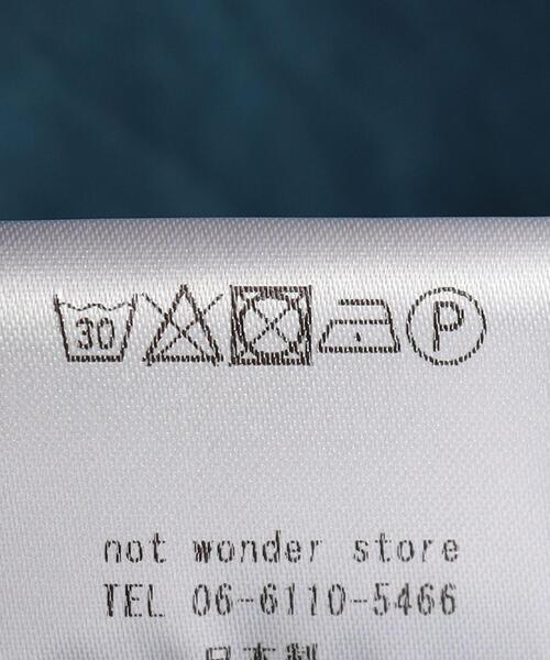 wonderland(ワンダーランド)の「<wonderland> NYLON PANTS/パンツ(その他パンツ・メンズ・ロイヤルブルー・1/0)」の9枚目の写真