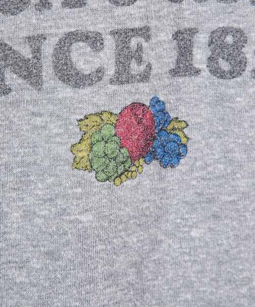 FRUIT OF THE LOOM（フルーツオブザルーム）の「【FRUIT OF THE LOOM】リンガー クルーネック ショートスリーブ Tシャツ（Tシャツ/カットソー・メンズ・パープル/グレー/サックスブルー/グリーン/アイボリー/ホワイト系その他・M/L/XL）」の13枚目の写真