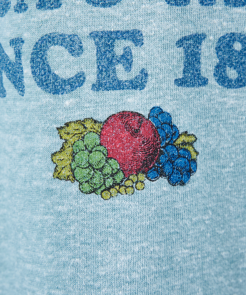 FRUIT OF THE LOOM（フルーツオブザルーム）の「【FRUIT OF THE LOOM】リンガー クルーネック ショートスリーブ Tシャツ（Tシャツ/カットソー・メンズ・パープル/グレー/サックスブルー/グリーン/アイボリー/ホワイト系その他・M/L/XL）」の20枚目の写真