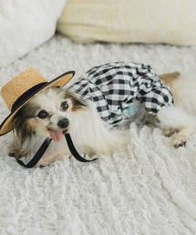 LiFam（リファム）の「ギンガムチェックワンピース・ロンパース（ペットウェア）」