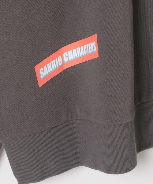 LEPSIM（レプシィム）の「【ハンギョドン/バツマル/ポチャッコ】【KIDS】散らばし裏毛プルオーバー　323051（スウェット・キッズ・グレー/チャコールグレー/オートミール・130）」の21枚目の写真