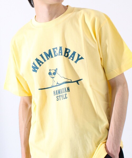 GLOSTER（グロスター）の「【GLOSTER/グロスター】ハワイヌ ワイメアベイ クルーネック プリントTシャツ（Tシャツ/カットソー・メンズ・イエロー/ホワイト/チャコールグレー・S/M/L）」の15枚目の写真
