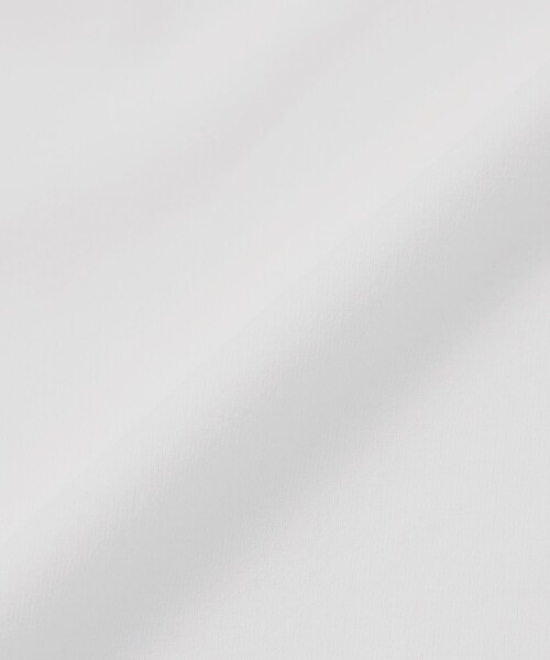 MACKINTOSH PHILOSOPHY（ﾏｯｷﾝﾄｯｼｭ ﾌｨﾛｿﾌｨｰ）の「バッキンガムベア 度詰め天竺 スピンドルTシャツ（Tシャツ/カットソー・メンズ・ブラック/グレー/ホワイト・40/38）」の6枚目の写真