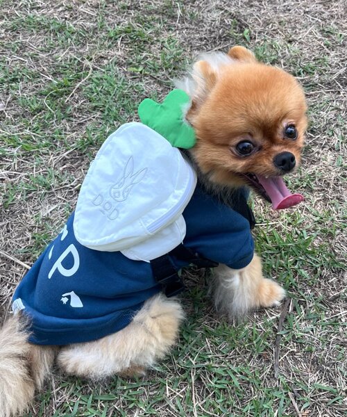 DOD(ディーオーディー)の「【DOD】【ドッググッズ】ニンジンフォーザドッグ(ペットウェア・レディース・ホワイト/パープル/オレンジ・ONE SIZE)」の2枚目の写真