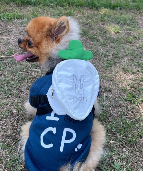 DOD(ディーオーディー)の「【DOD】【ドッググッズ】ニンジンフォーザドッグ(ペットウェア・レディース・ホワイト/パープル/オレンジ・ONE SIZE)」の11枚目の写真