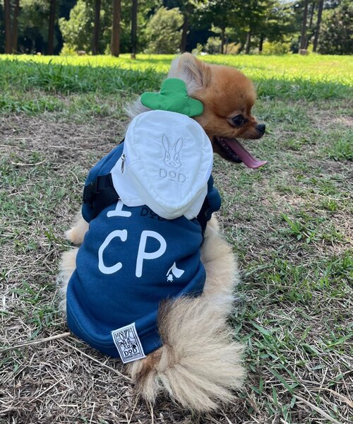 DOD(ディーオーディー)の「【DOD】【ドッググッズ】ニンジンフォーザドッグ(ペットウェア・レディース・ホワイト/パープル/オレンジ・ONE SIZE)」の8枚目の写真