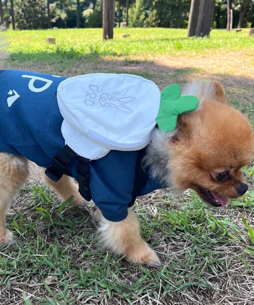 DOD(ディーオーディー)の「【DOD】【ドッググッズ】ニンジンフォーザドッグ(ペットウェア・レディース・ホワイト/パープル/オレンジ・ONE SIZE)」の10枚目の写真