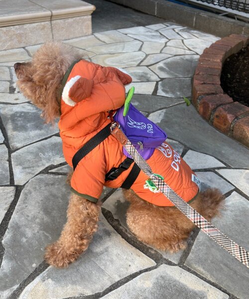 DOD(ディーオーディー)の「【DOD】【ドッググッズ】ニンジンフォーザドッグ(ペットウェア・レディース・ホワイト/パープル/オレンジ・ONE SIZE)」の9枚目の写真