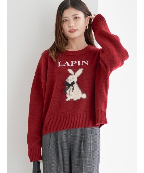 アニマルモチーフニットプルオーバー（ニット/セーター）｜LUDIC PARK