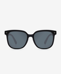 POSITANO（ポジターノ）の「FESTO PRT 10013 C1（サングラス）」