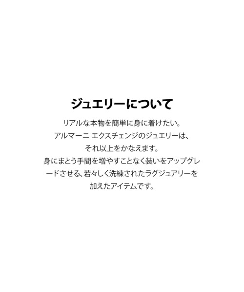 ARMANI EXCHANGE(アルマーニエクスチェンジ)の「アルマーニ・エクスチェンジ アクセサリー メンズ ネックレス ガンメタル AXG0171060(ネックレス・メンズ・チャコールグレー・FREE)」の11枚目の写真