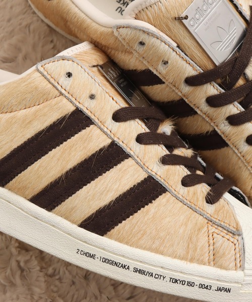 adidas superstar dog